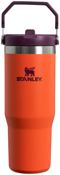 Stanley IceFlow Stainless Steel Tumbler - Vacuum Insulated Water Bottle for Home, Office or Car Reusable Cup with Straw Leak Resistant Flip Cold for 12 Hours or Iced for 2 Days, Navy, 30oz