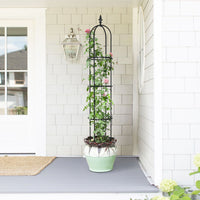 7DAY'S 6.2ft Garden Obelisk Trellis; Lightweight Rustproof Plastic Coated Metal Tall Tower Trellis Stand - 7DAY'S