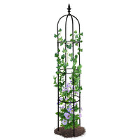 7DAY'S 6.2ft Garden Obelisk Trellis; Lightweight Rustproof Plastic Coated Metal Tall Tower Trellis Stand - 7DAY'S