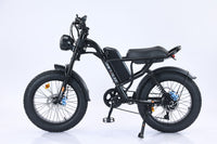 New Design 750W Mountain Electric Bicycle Out Door With Fat Tire 20''Ebike - 7DAY'S