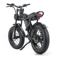 New Design 750W Mountain Electric Bicycle Out Door With Fat Tire 20''Ebike - 7DAY'S