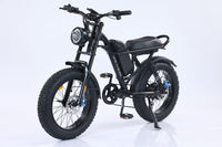 New Design 750W Mountain Electric Bicycle Out Door With Fat Tire 20''Ebike - 7DAY'S