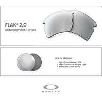 Oakley Authentic Flak 2.0 XL OO9188 Polarized REPLACEMENT Lenses +BUNDLE Bag+ BUNDLE with Designer iWear Kit - 7DAY'S