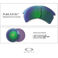 Oakley Authentic Flak 2.0 XL OO9188 Polarized REPLACEMENT Lenses +BUNDLE Bag+ BUNDLE with Designer iWear Kit - 7DAY'S