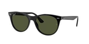 Ray - Ban RB2185 Wayfarer II Round Sunglasses - 7DAY'S