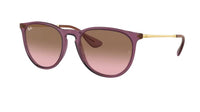 Ray - Ban RB4171 ERIKA Round Sunglasses For Women + BUNDLE with Designer iWear Eyewear Care Kit - 7DAY'S