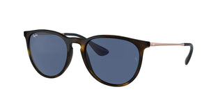Ray - Ban RB4171 ERIKA Round Sunglasses For Women + BUNDLE with Designer iWear Eyewear Care Kit - 7DAY'S