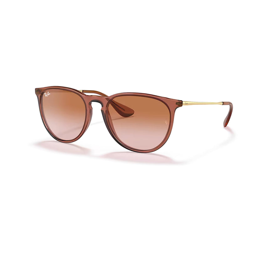 Ray - Ban RB4171 ERIKA Round Sunglasses For Women + BUNDLE with Designer iWear Eyewear Care Kit - 7DAY'S