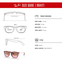 Ray - Ban RB4171 ERIKA Round Sunglasses For Women + BUNDLE with Designer iWear Eyewear Care Kit - 7DAY'S