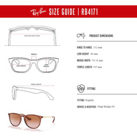 Ray - Ban RB4171 ERIKA Round Sunglasses For Women + BUNDLE with Designer iWear Eyewear Care Kit - 7DAY'S