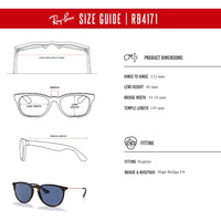 Ray - Ban RB4171 ERIKA Round Sunglasses For Women + BUNDLE with Designer iWear Eyewear Care Kit - 7DAY'S