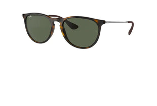 Ray-Ban RB4171 ERIKA Round Sunglasses For Women + BUNDLE with Designer iWear Eyewear Care Kit