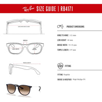 Ray - Ban RB4171 ERIKA Round Sunglasses For Women + BUNDLE with Designer iWear Eyewear Care Kit - 7DAY'S