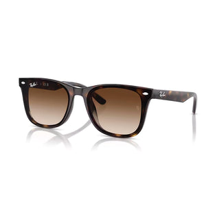 Ray - Ban RB4420 Square Sunglasses for Men for Women + BUNDLE With Designer iWear Complimentary Eyewear Kit - 7DAY'S