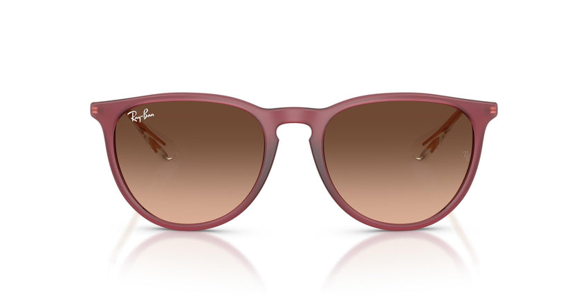 Ray - Ban Women's Rb4171 Erika Round Sunglasses - 7DAY'S