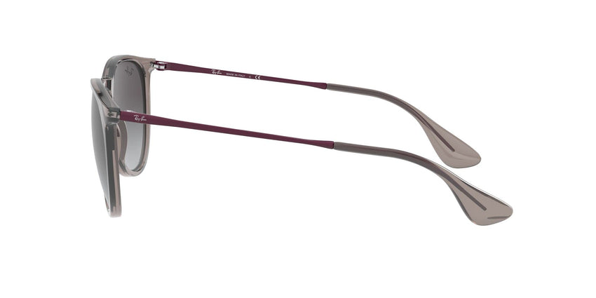 Ray - Ban Women's Rb4171 Erika Round Sunglasses - 7DAY'S