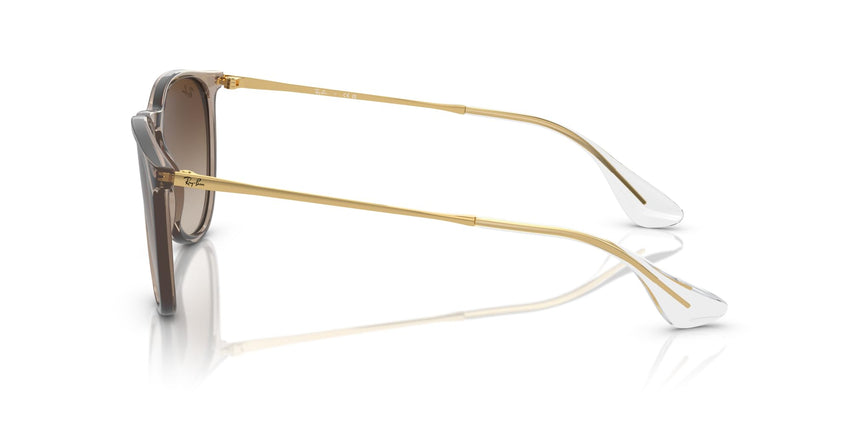 Ray - Ban Women's Rb4171 Erika Round Sunglasses - 7DAY'S