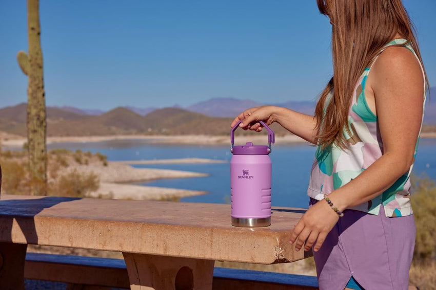 Stanley IceFlow Flip Straw Jug with Handle 40 oz| Twist On Lid and Flip Up Straw | Leak Resistant for Travel and Sports | Insulated Stainless Steel | BPA - Free | Lilac - 7DAY'S
