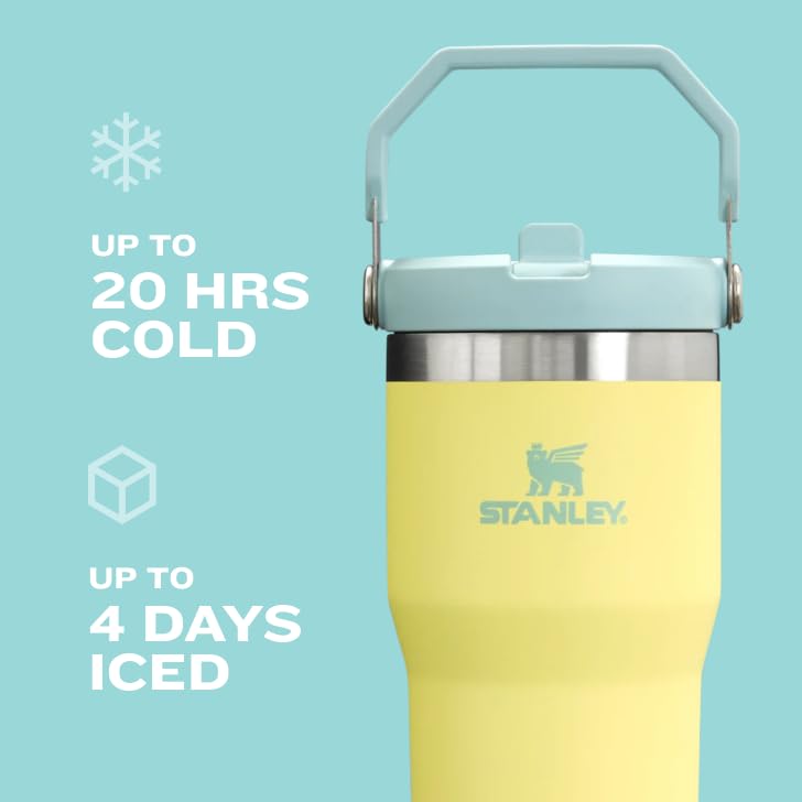 Stanley IceFlow Stainless Steel Tumbler - Vacuum Insulated Water Bottle for Home, Office or Car Reusable Cup with Straw Leak Resistant Flip Cold for 12 Hours or Iced for 2 Days, Navy, 30oz - 7DAY'S