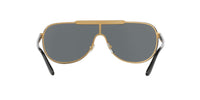 Versace Man Sunglasses Gold Frame, Dark Grey Lenses, 0MM - 7DAY'S